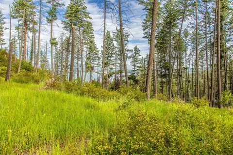 Other - 338 Flathead Lodge Rd, Bigfork, MT 59911 photo 9 of 11