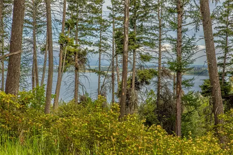 View/Area - 338 Flathead Lodge Rd, Bigfork, MT 59911 photo 5 of 11