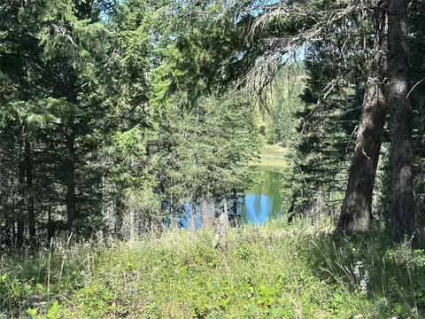 196 Belterra Ln, Bigfork, MT 59911 photo 3