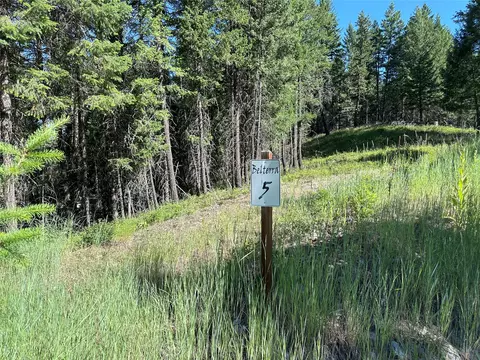 196 Belterra Ln, Bigfork, MT 59911 photo 4