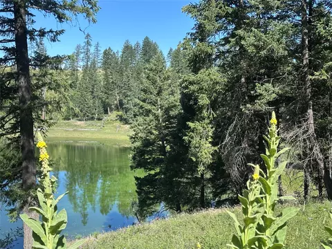 196 Belterra Ln, Bigfork, MT 59911 photo 2