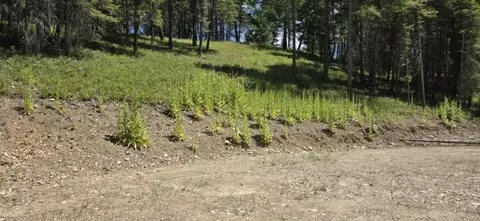 196 Belterra Ln, Bigfork, MT 59911 photo 13