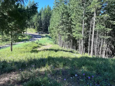 196 Belterra Ln, Bigfork, MT 59911 photo 7