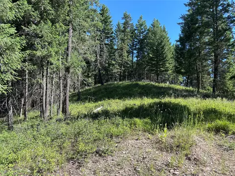 196 Belterra Ln, Bigfork, MT 59911 photo 6