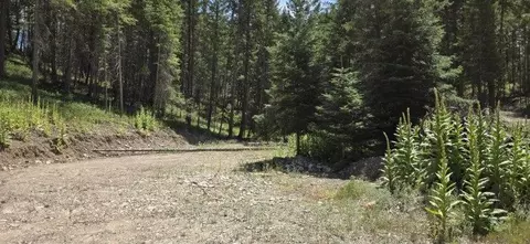 196 Belterra Ln, Bigfork, MT 59911 photo 14