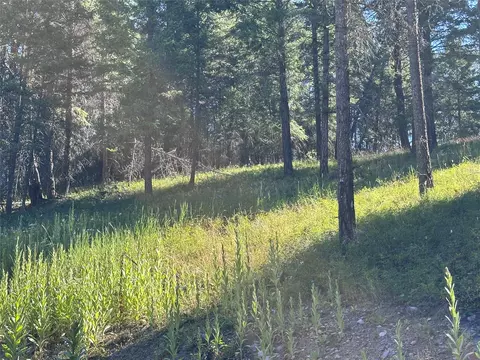 196 Belterra Ln, Bigfork, MT 59911 photo 5