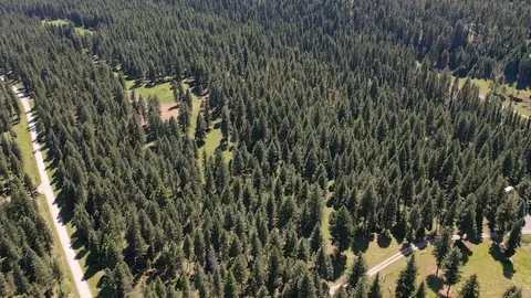 1550 Lost Creek Dr, Kalispell, MT 59901