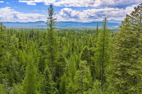 Other - 70 Big Cedar, Bigfork, MT 59911 photo 15 of 27