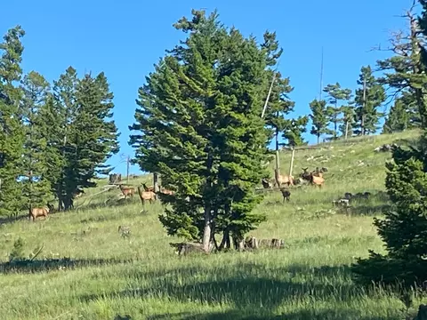 Other - 12 Garnet Range Rd, Drummond, MT 59832 photo 6 of 10