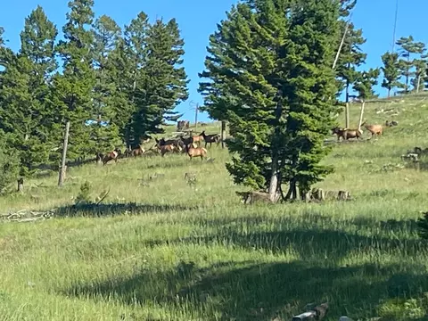 Other - 12 Garnet Range Rd, Drummond, MT 59832 photo 3 of 10