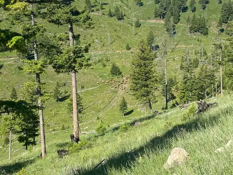 Other - 12 Garnet Range Rd, Drummond, MT 59832 photo 4 of 10