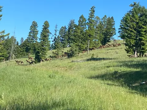 Other - 12 Garnet Range Rd, Drummond, MT 59832 photo 7 of 10