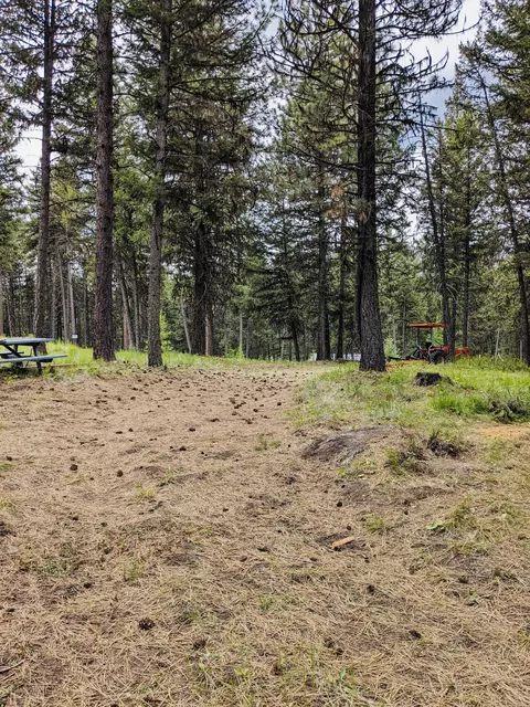 242 Beach Dr, Libby, MT 59923 photo 6