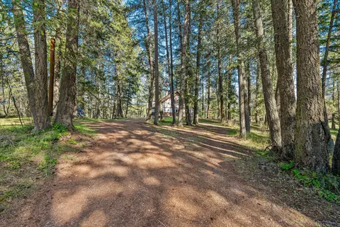 Exterior - 701 Mccaffery Rd, Bigfork, MT 59911 photo 8 of 14