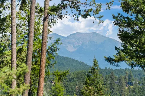 Other - 109 Eagle Bend Dr, Bigfork, MT 59911 photo 4 of 22