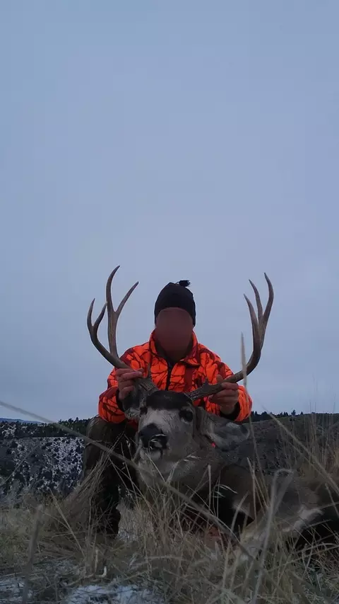 Other - 90 Battle Dr, Townsend, MT 59644 photo 31 of 41