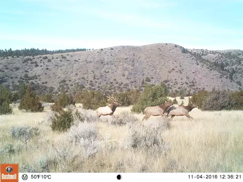 Other - 90 Battle Dr, Townsend, MT 59644 photo 41 of 41