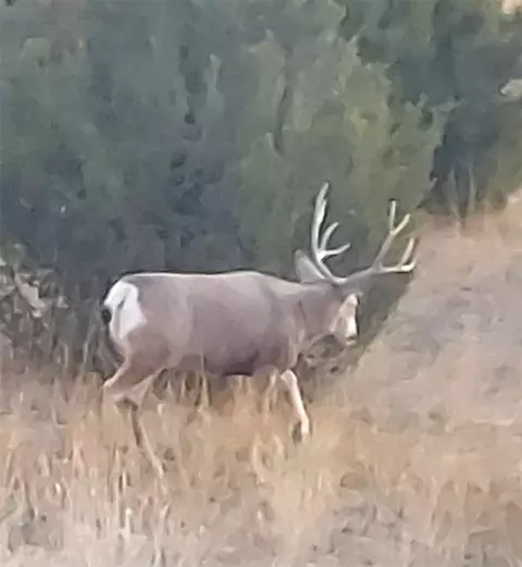 Other - 90 Battle Dr, Townsend, MT 59644 photo 39 of 41