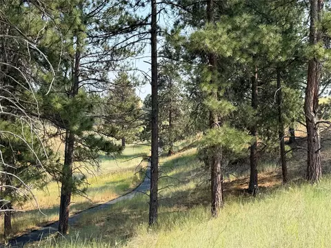 Other - 984 Sandhill Loop, Florence, MT 59833 photo 9 of 30