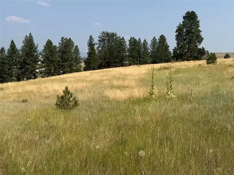 Other - 984 Sandhill Loop, Florence, MT 59833 photo 8 of 30