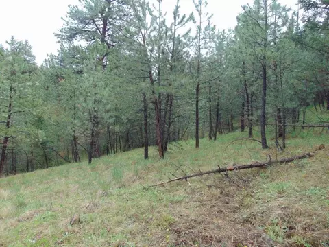 tbd Shady Spgs, Cascade, MT 59421 photo 44