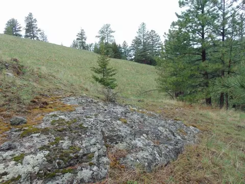 tbd Shady Spgs, Cascade, MT 59421 photo 40