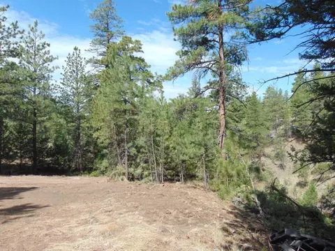 tbd Shady Spgs, Cascade, MT 59421 photo 9