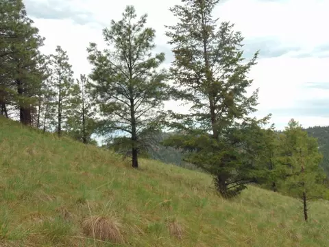 tbd Shady Spgs, Cascade, MT 59421 photo 23