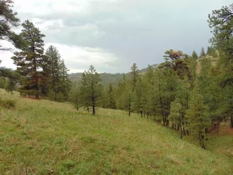 tbd Shady Spgs, Cascade, MT 59421 photo 6