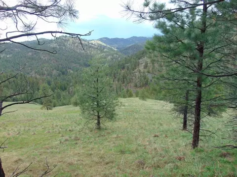 tbd Shady Spgs, Cascade, MT 59421 photo 25