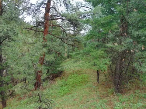 tbd Shady Spgs, Cascade, MT 59421 photo 39