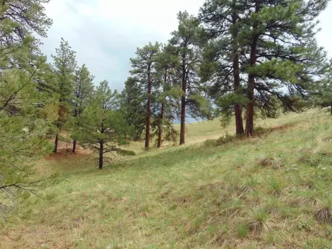 tbd Shady Spgs, Cascade, MT 59421 photo 54