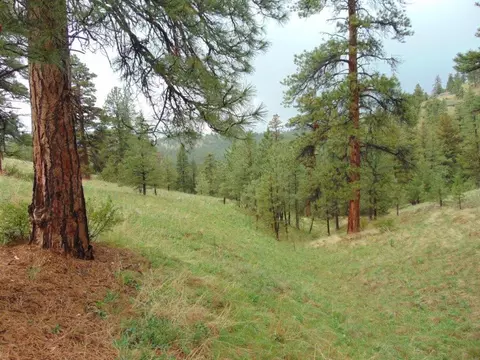 tbd Shady Spgs, Cascade, MT 59421 photo 4