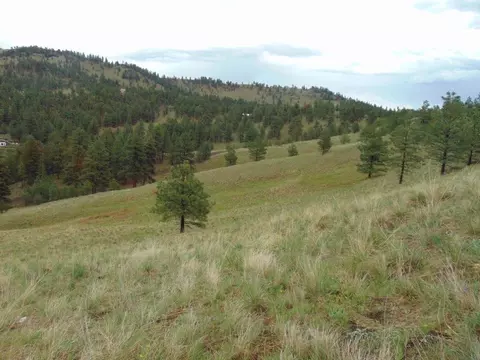 tbd Shady Spgs, Cascade, MT 59421 photo 33