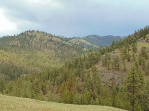 tbd Shady Spgs, Cascade, MT 59421 photo 20
