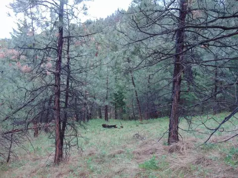 tbd Shady Spgs, Cascade, MT 59421 photo 41