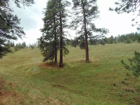 tbd Shady Spgs, Cascade, MT 59421 photo 3