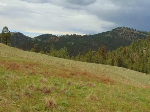 tbd Shady Spgs, Cascade, MT 59421 photo 16