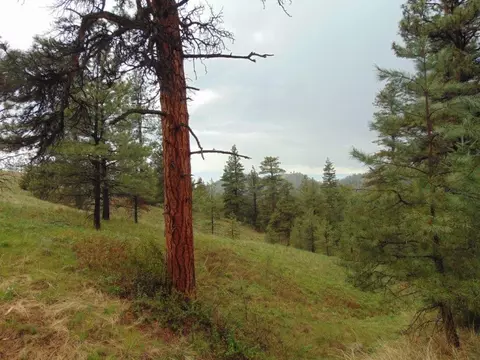 tbd Shady Spgs, Cascade, MT 59421 photo 2