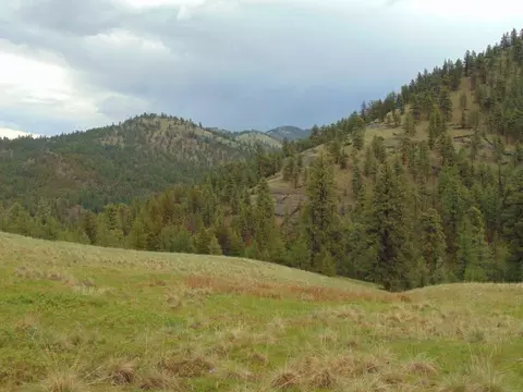 tbd Shady Spgs, Cascade, MT 59421 photo 17