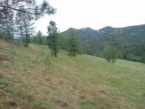 tbd Shady Spgs, Cascade, MT 59421 photo 26