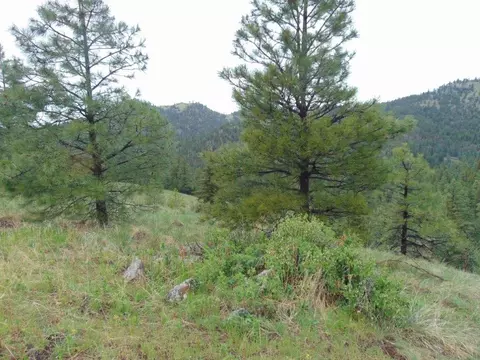 tbd Shady Spgs, Cascade, MT 59421 photo 36