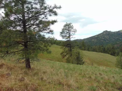 tbd Shady Spgs, Cascade, MT 59421 photo 37