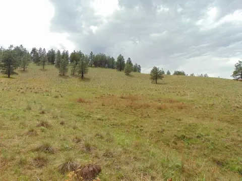 tbd Shady Spgs, Cascade, MT 59421 photo 14
