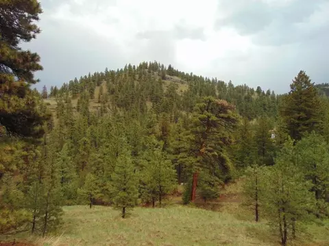 tbd Shady Spgs, Cascade, MT 59421 photo 12