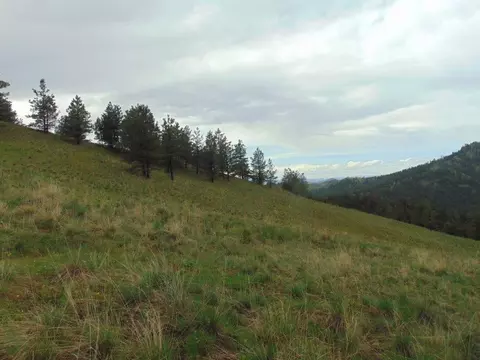 tbd Shady Spgs, Cascade, MT 59421 photo 32
