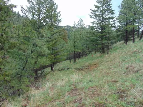 tbd Shady Spgs, Cascade, MT 59421 photo 38