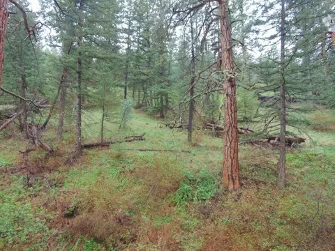 tbd Shady Spgs, Cascade, MT 59421 photo 48