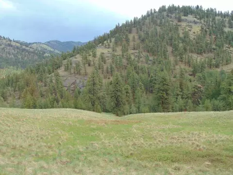 tbd Shady Spgs, Cascade, MT 59421 photo 19