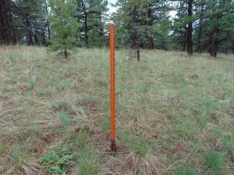 tbd Shady Spgs, Cascade, MT 59421 photo 24